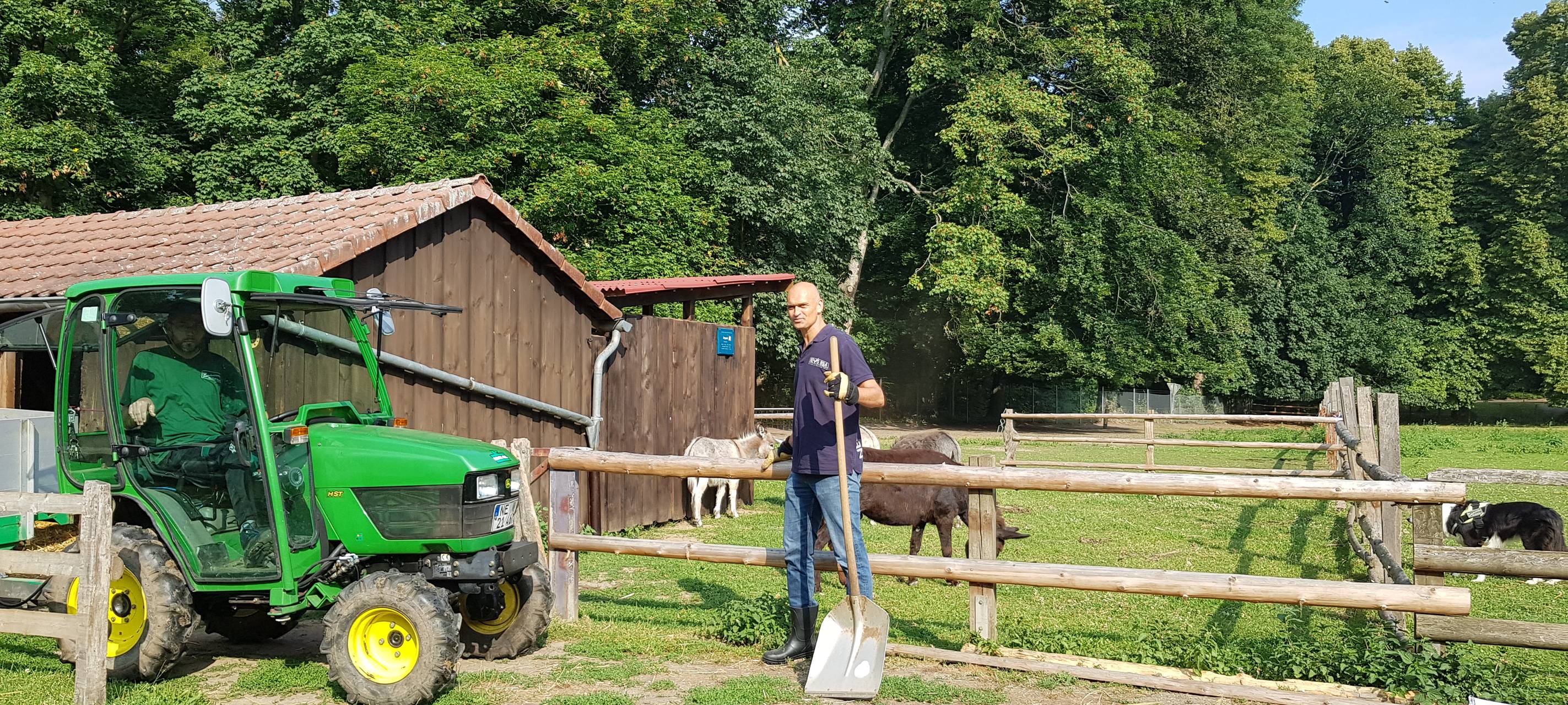 Einen Tag als Eselpfleger