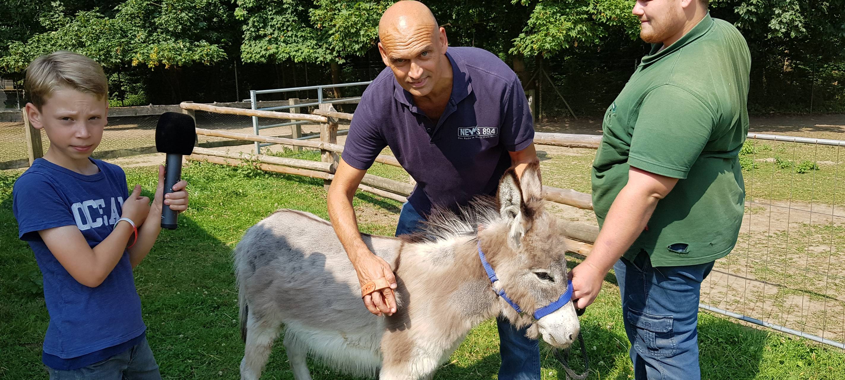 Einen Tag als Eselpfleger