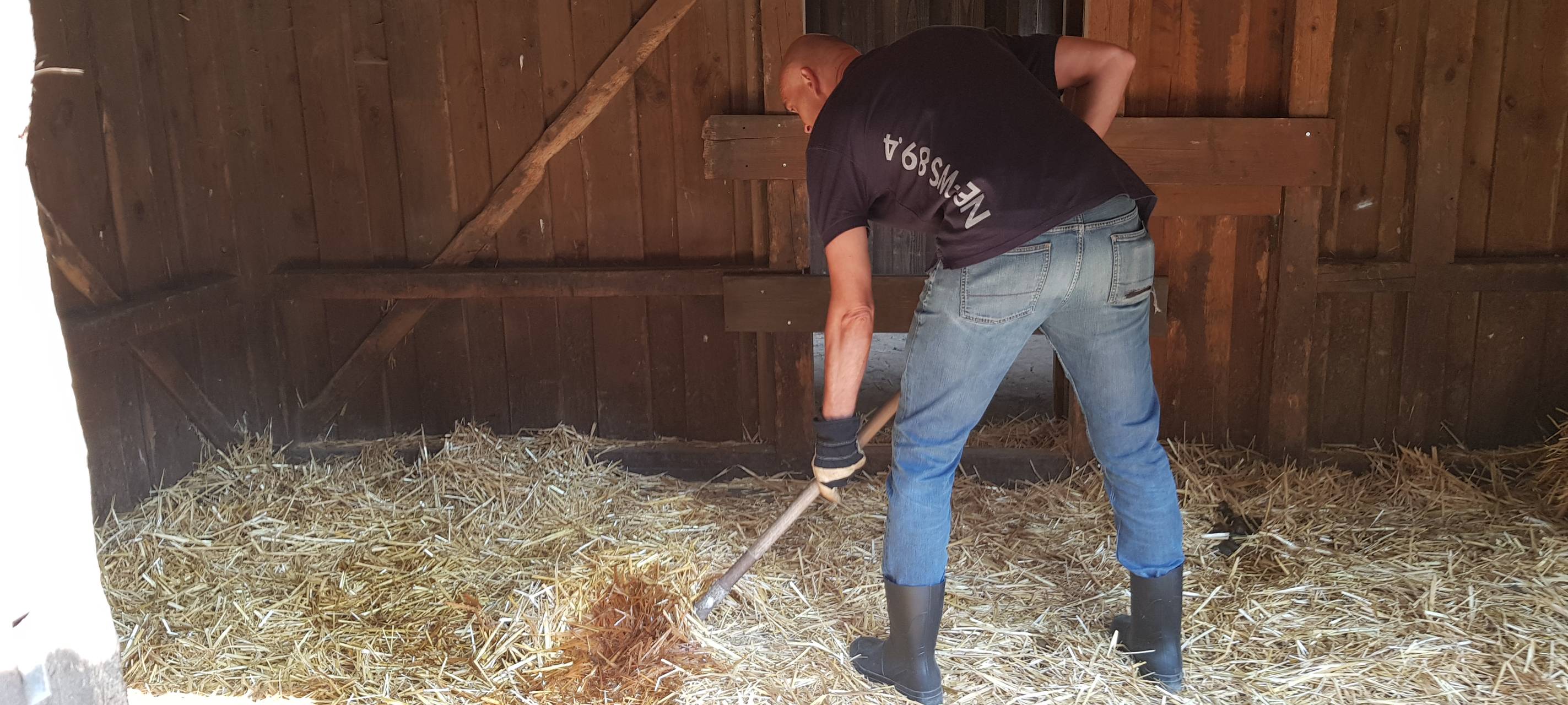 Einen Tag als Eselpfleger