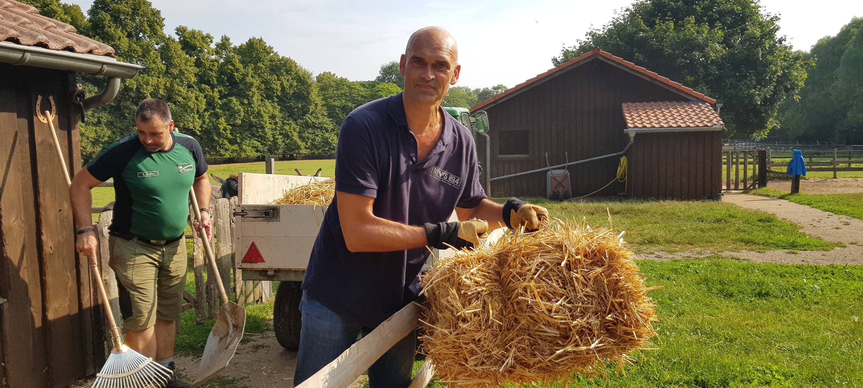 Einen Tag als Eselpfleger