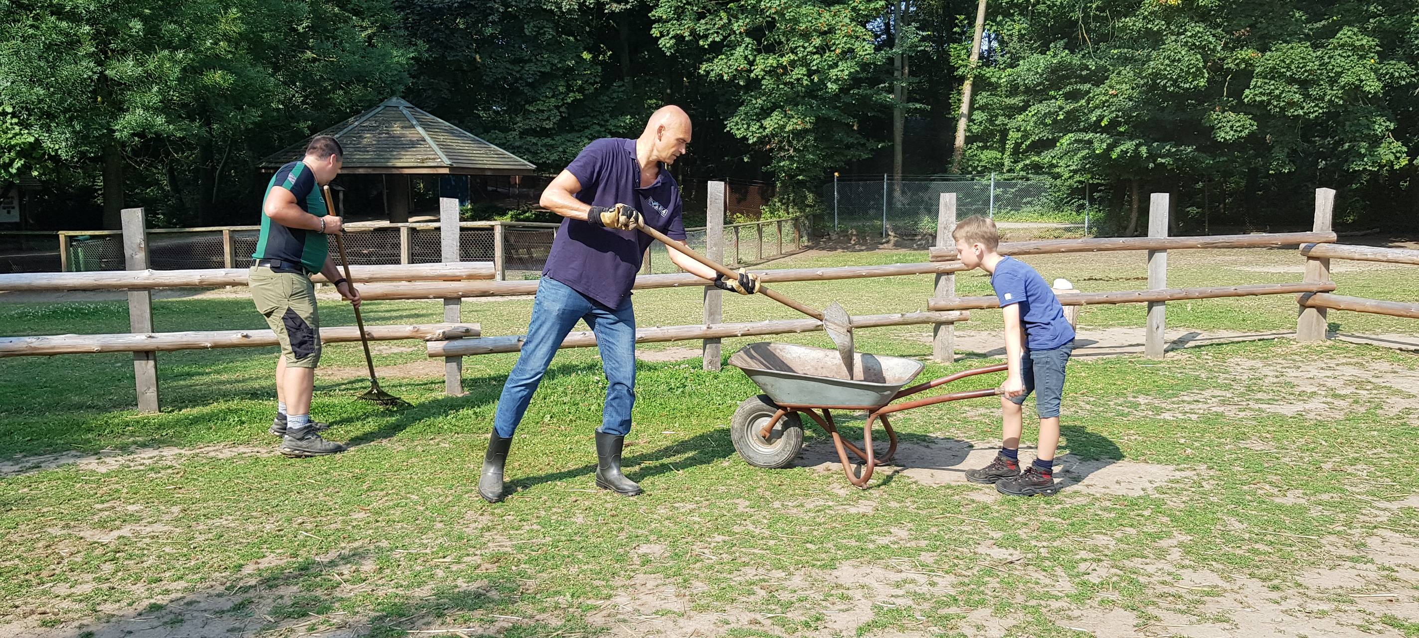 Einen Tag als Eselpfleger