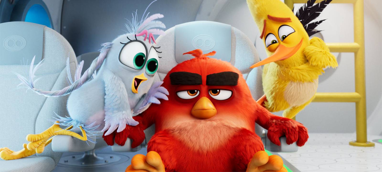 Vogel Red ist genervt. Seine Pläne gehen nicht auf.