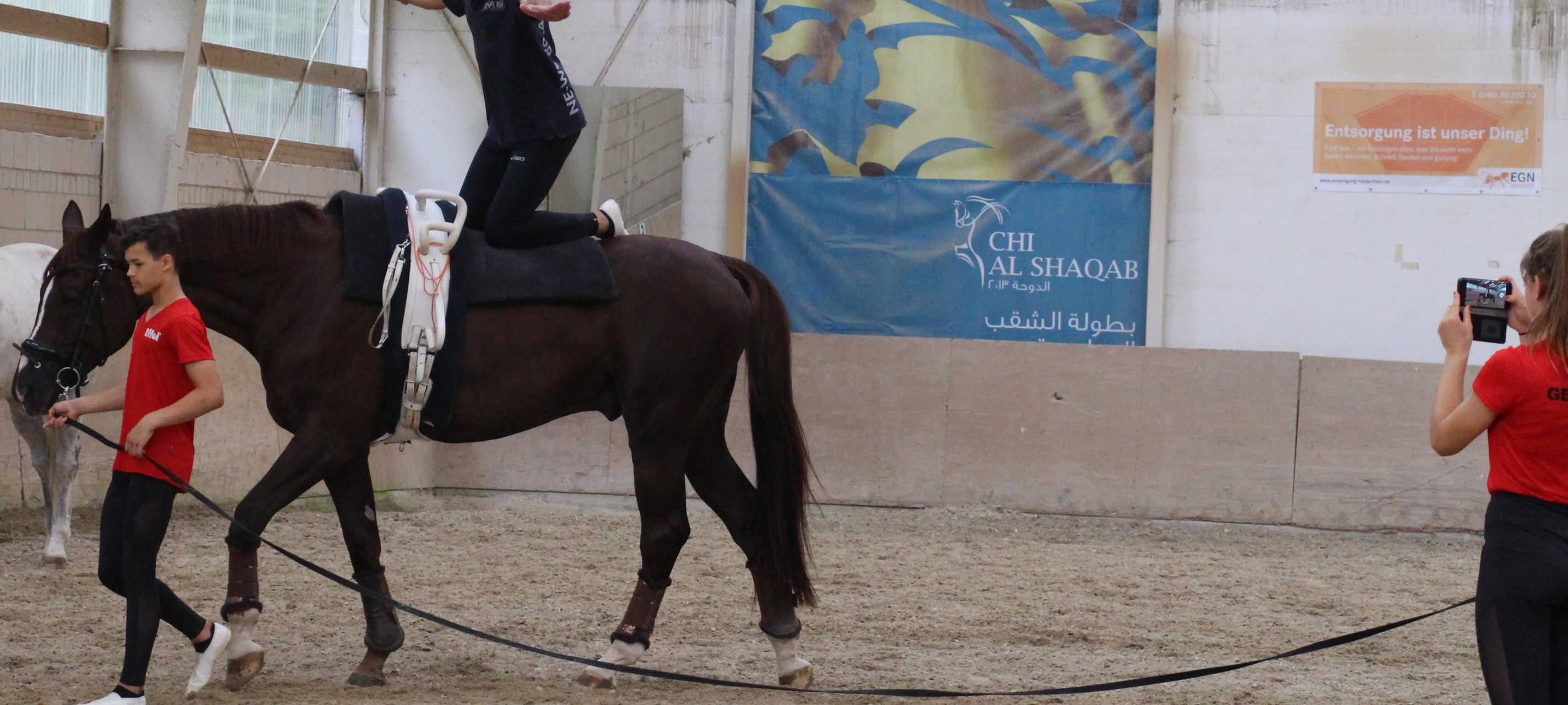 Selbstversuch: Voltigieren