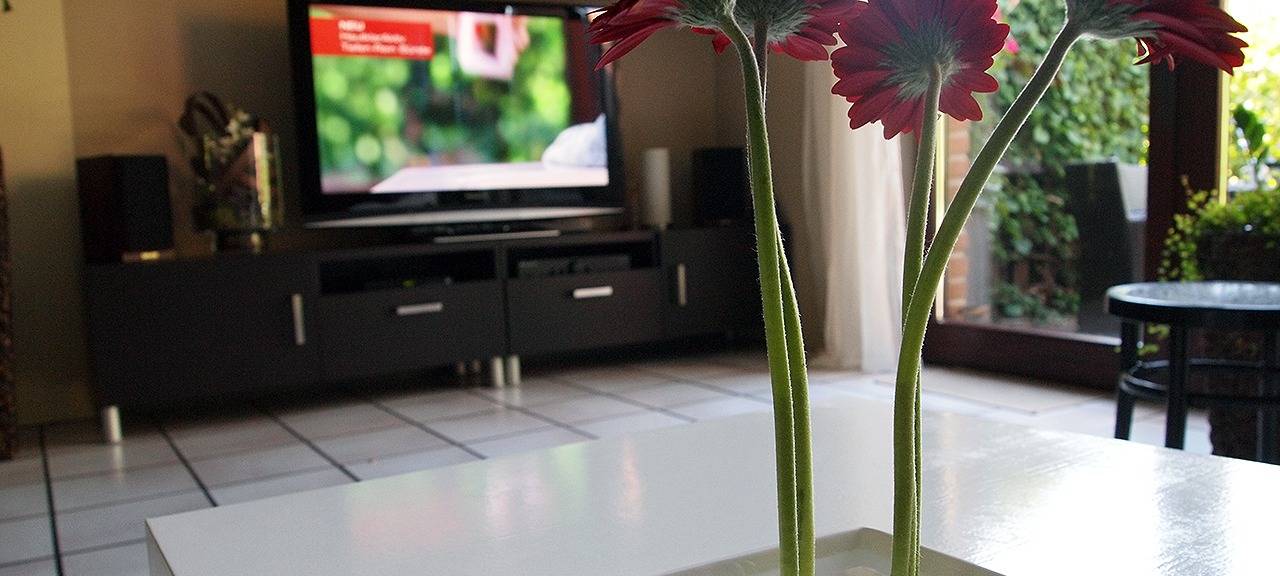 Mieterverein befürchtet Kündigungswelle