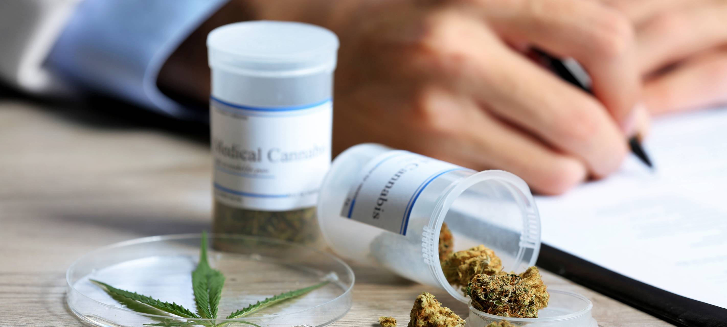 Größtes Cannabis-Unternehmen in Meerbusch-Osterath