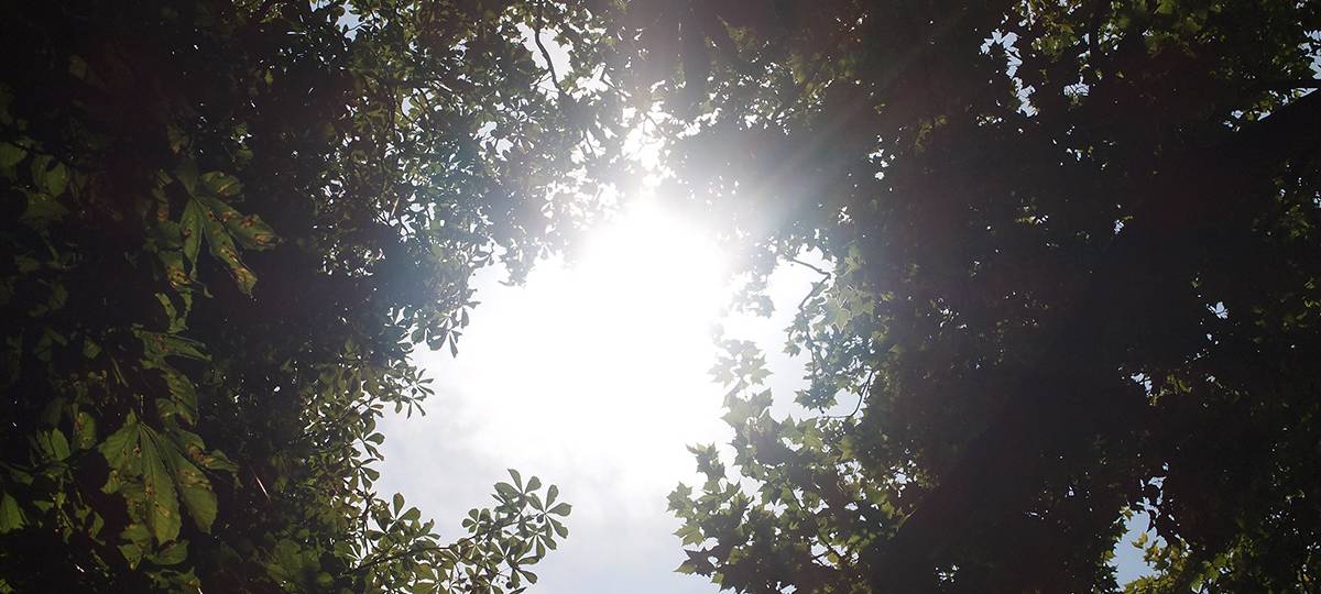 Vorsicht Wildschweine in Grevenbroich