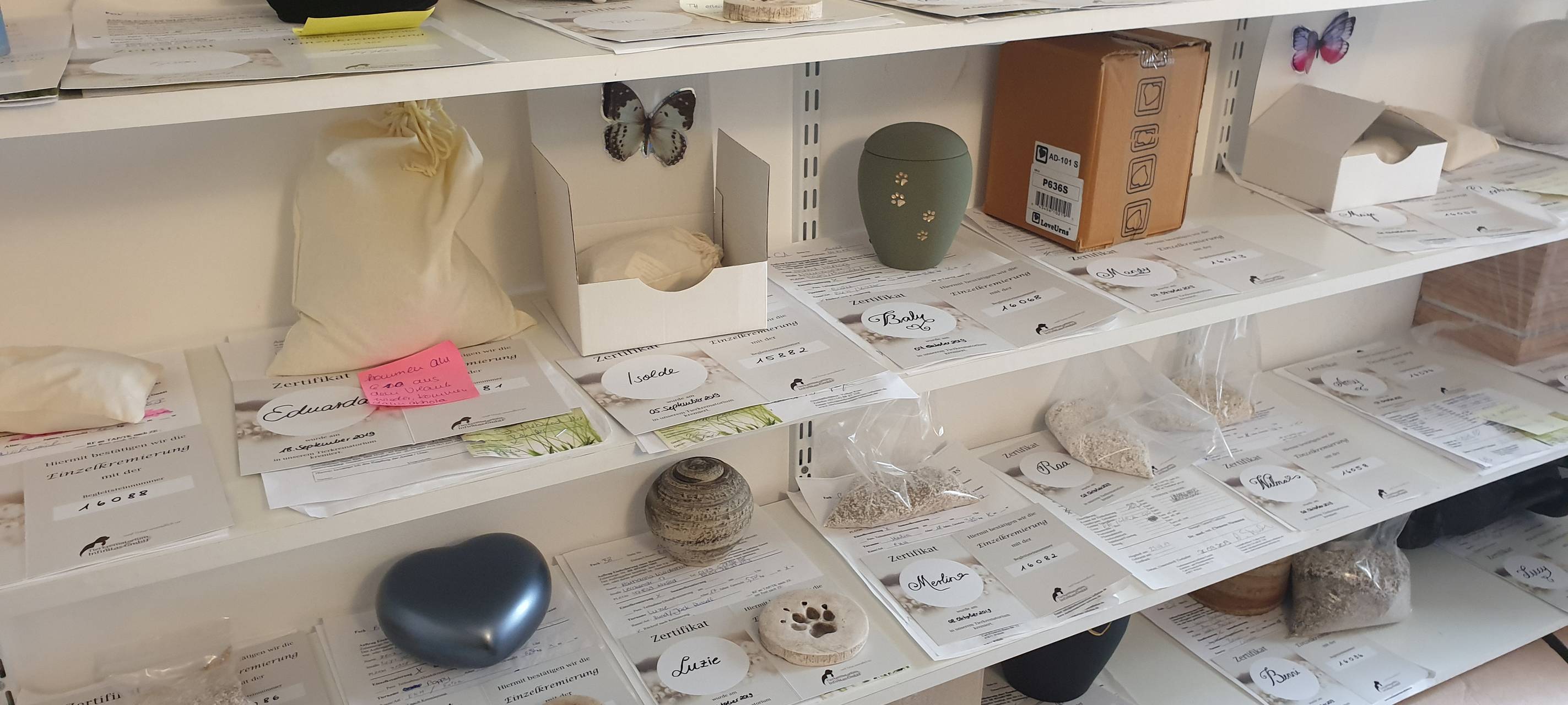 Ein Besuch im Tierkrematorium