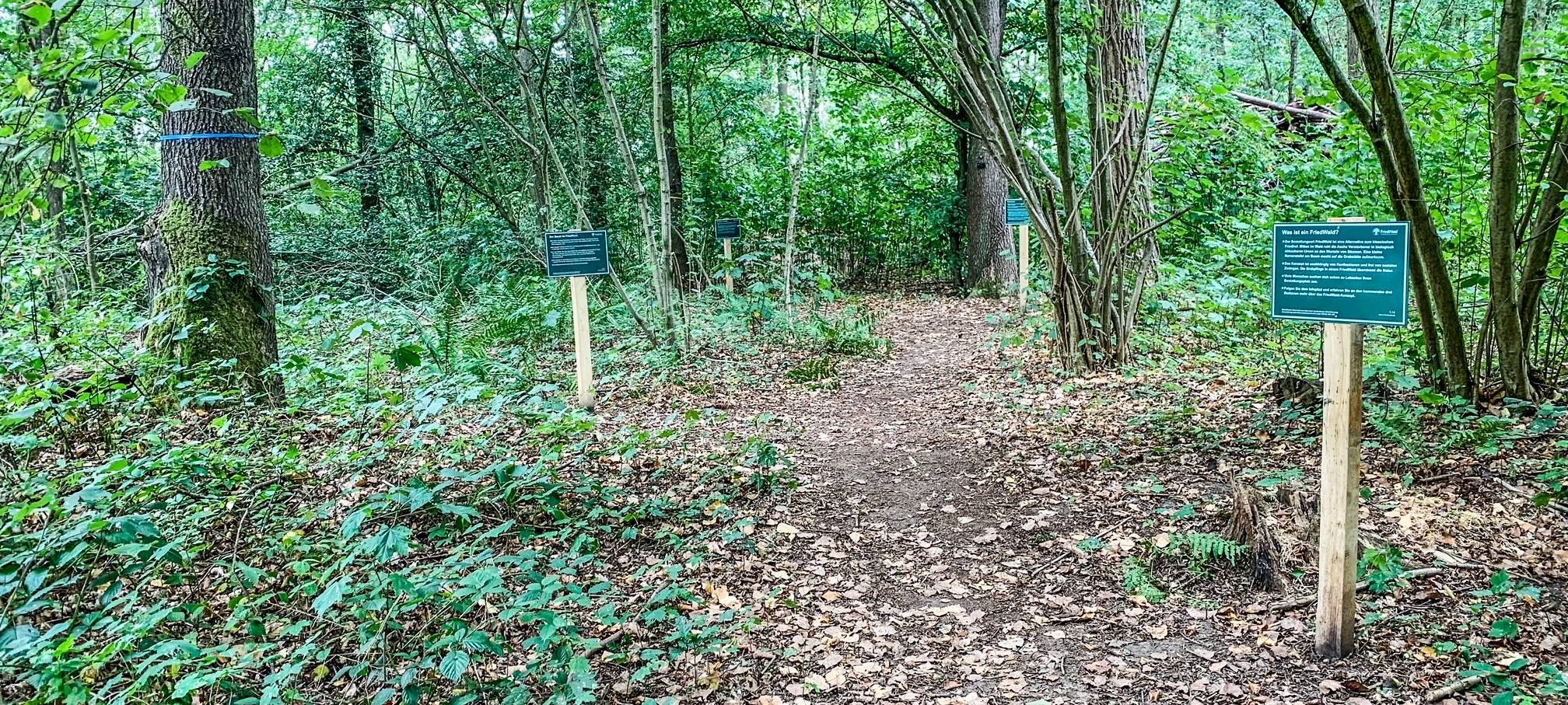 Bestattungswälder in Meerbusch und Dormagen
