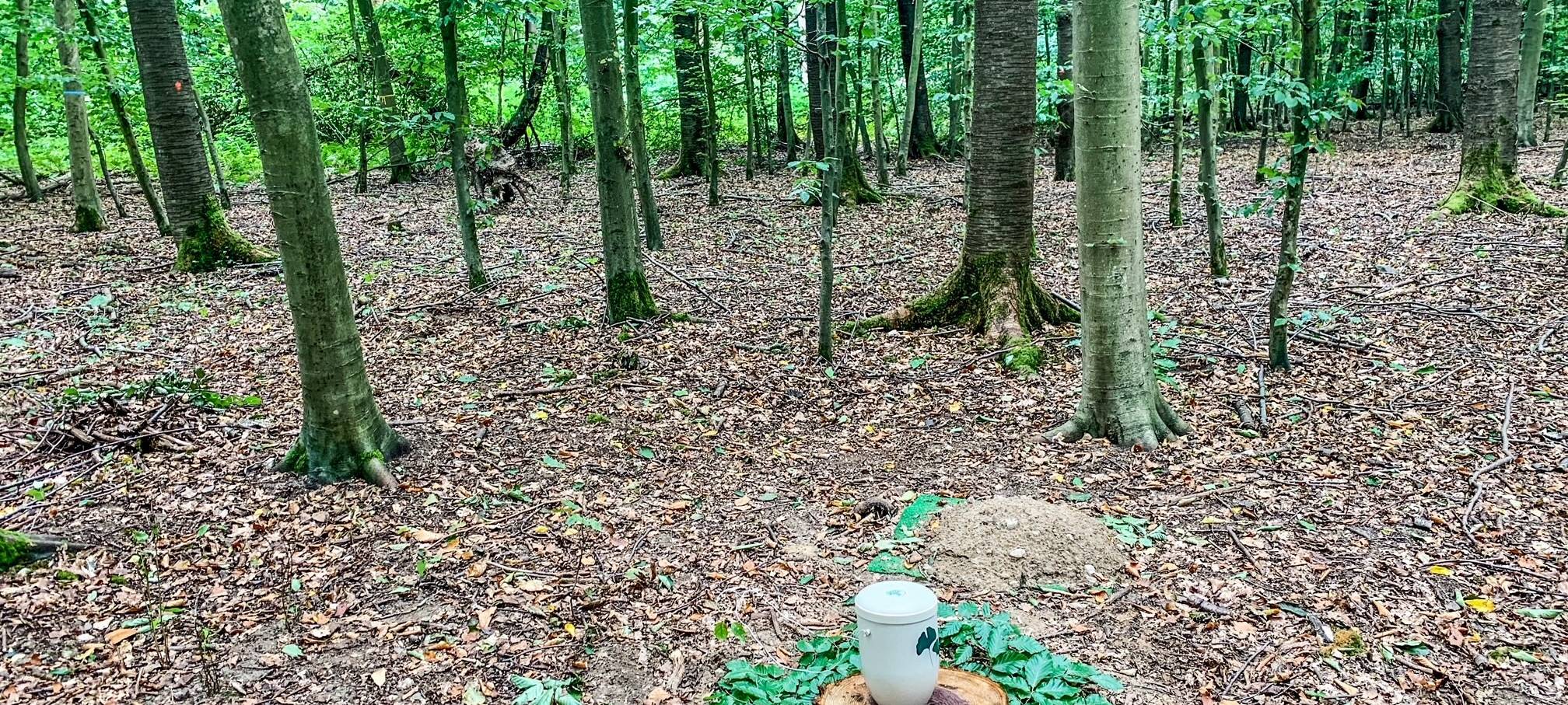 Bestattungswälder in Meerbusch und Dormagen