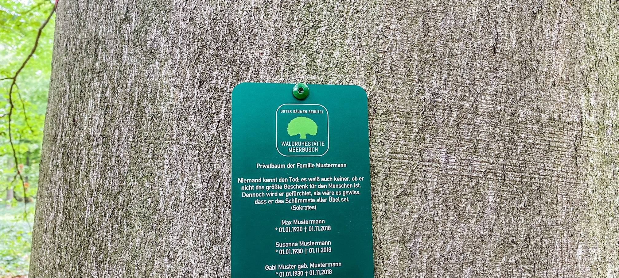 Bestattungswälder in Meerbusch und Dormagen