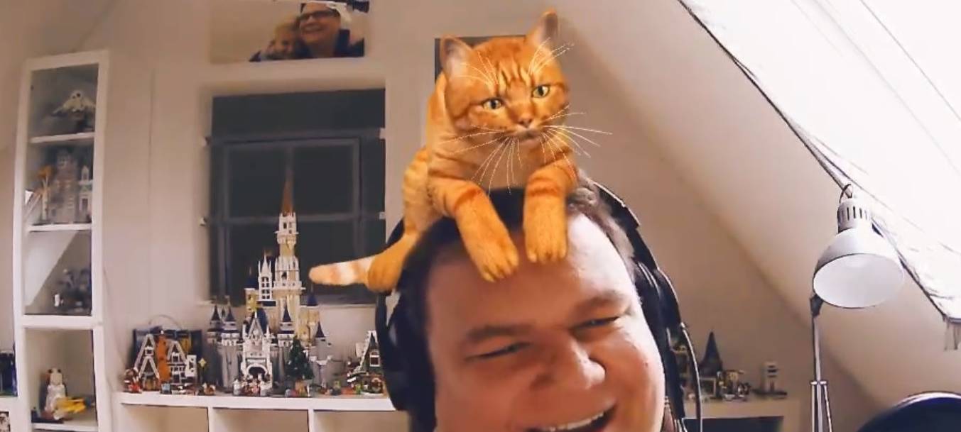 Kann man immer brauchen: Eine Katze auf dem Kopf