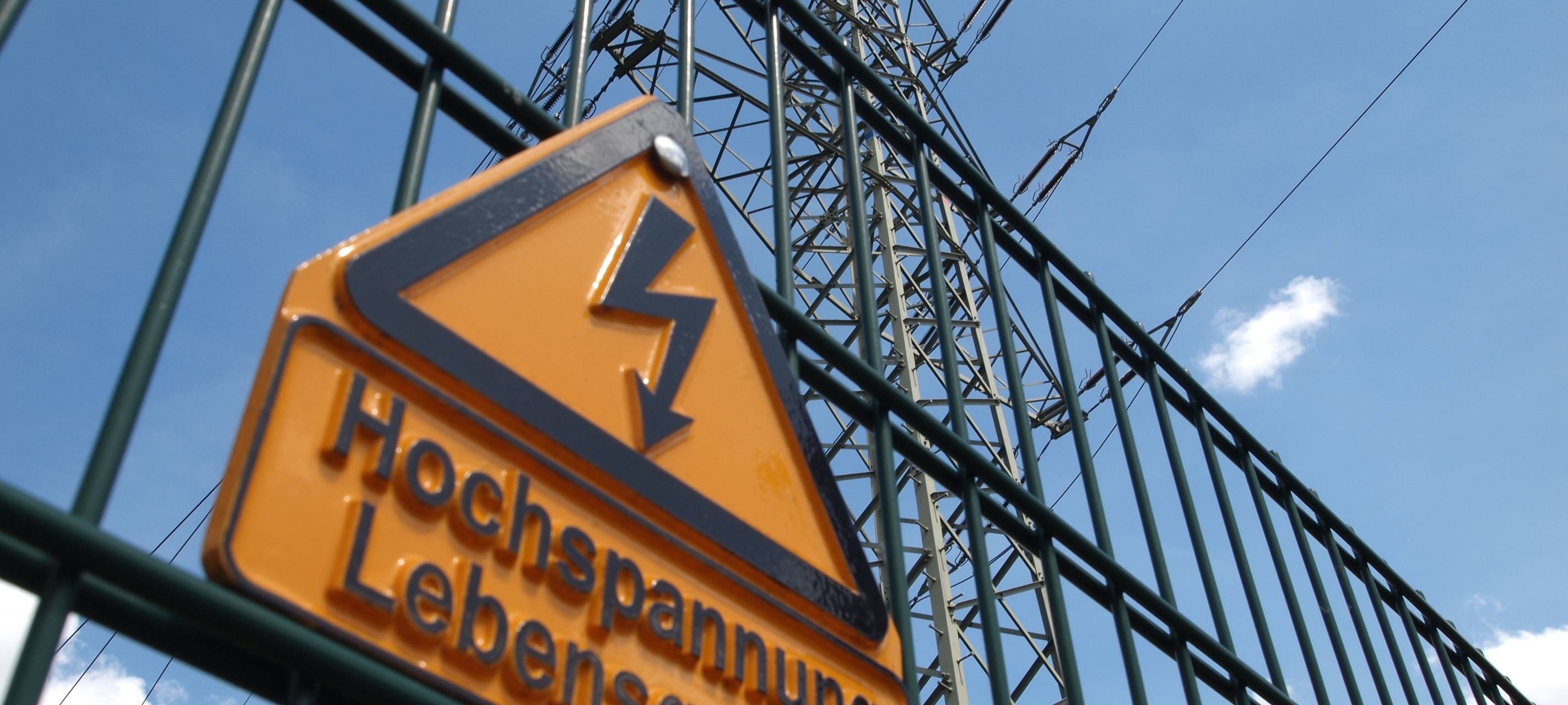 Rückschnitt im Neusser Westpark