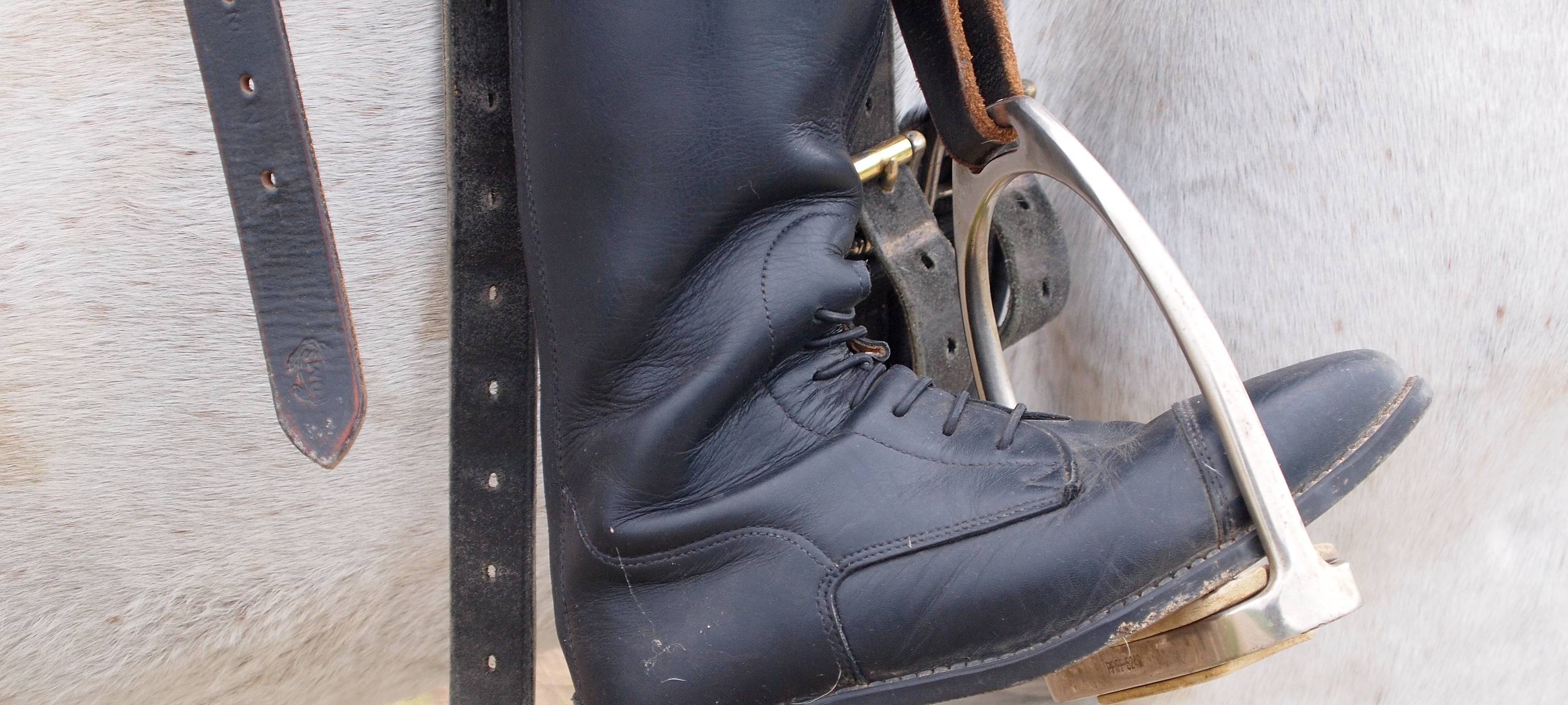 Leitlinien für Pferde im Karneval