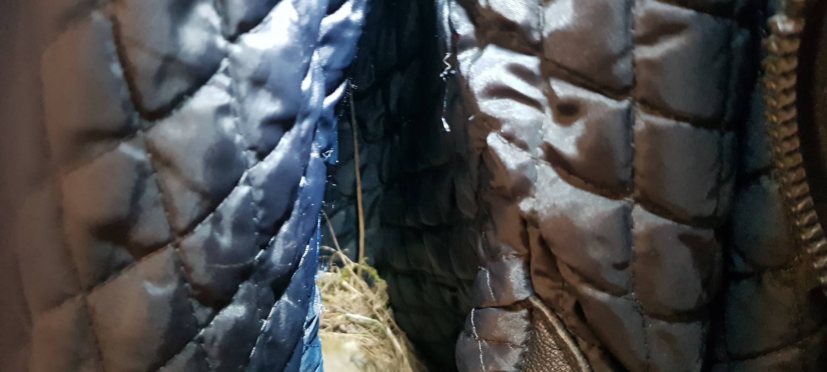 Motorradkluft in Meerbusch ist jetzt Vogel-Brutstätte