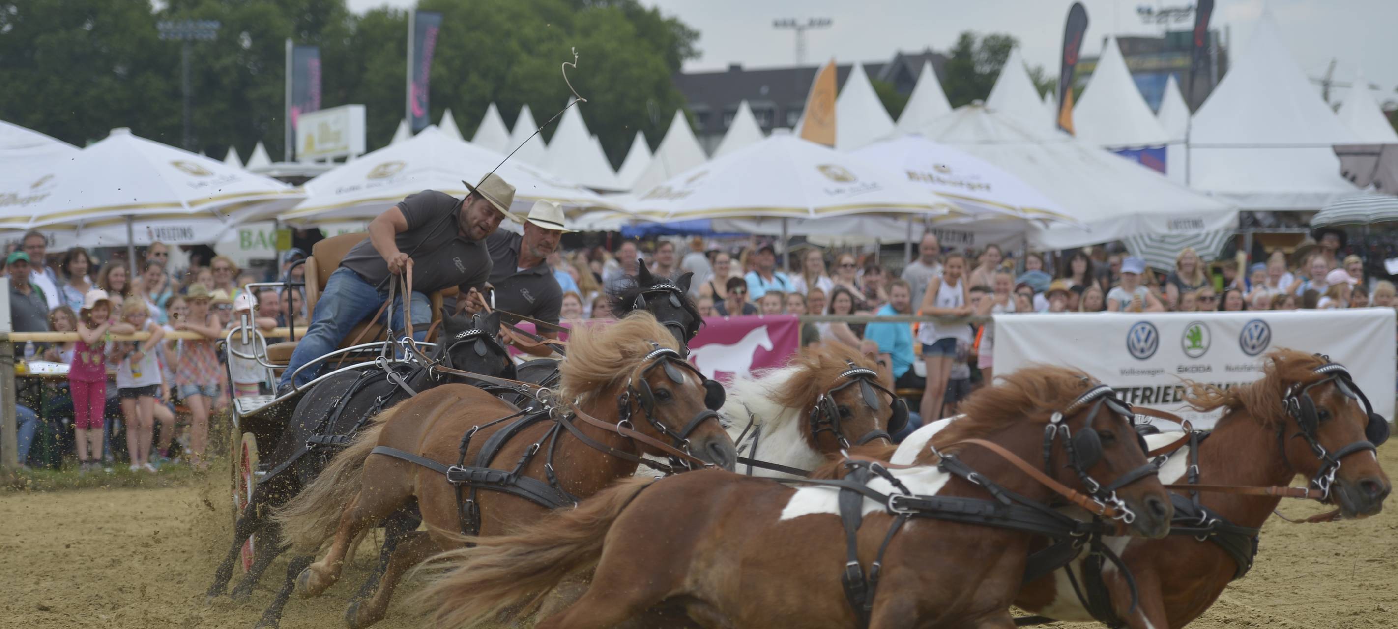 Pferdesport-Festival Equitana in Neuss