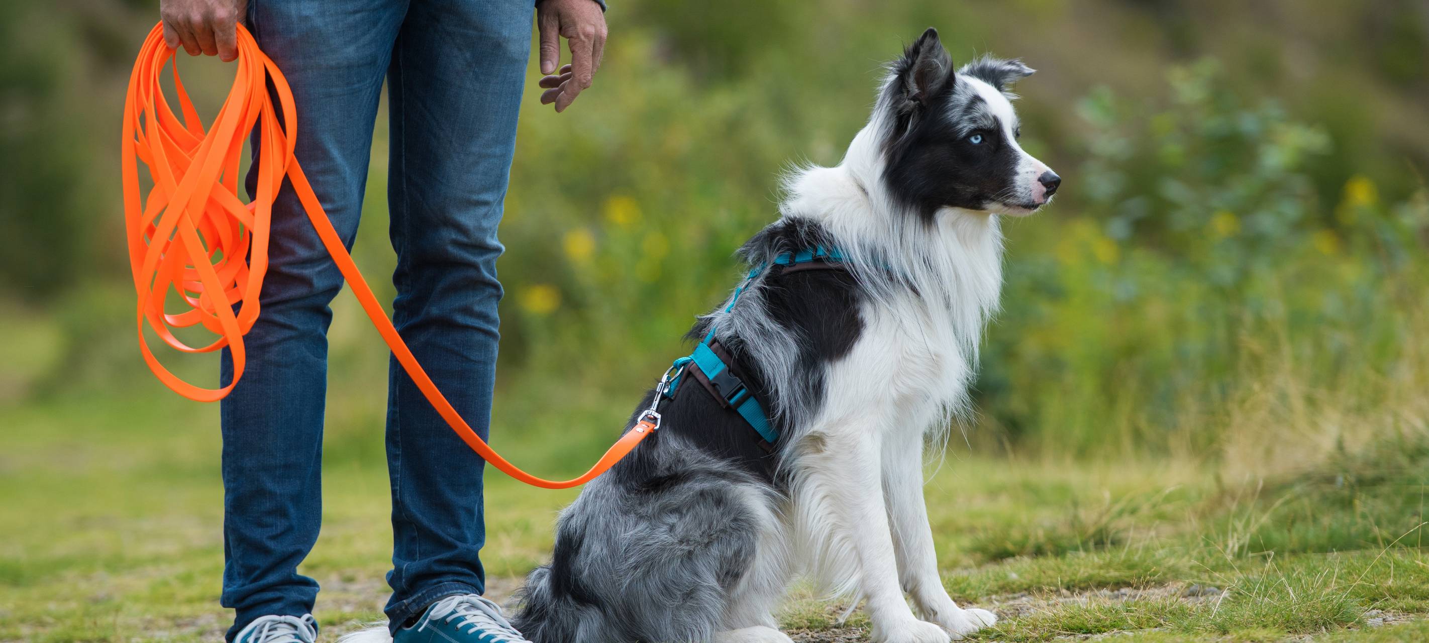 Pläne für Hunde-Freilaufwiese in Grevenbroich