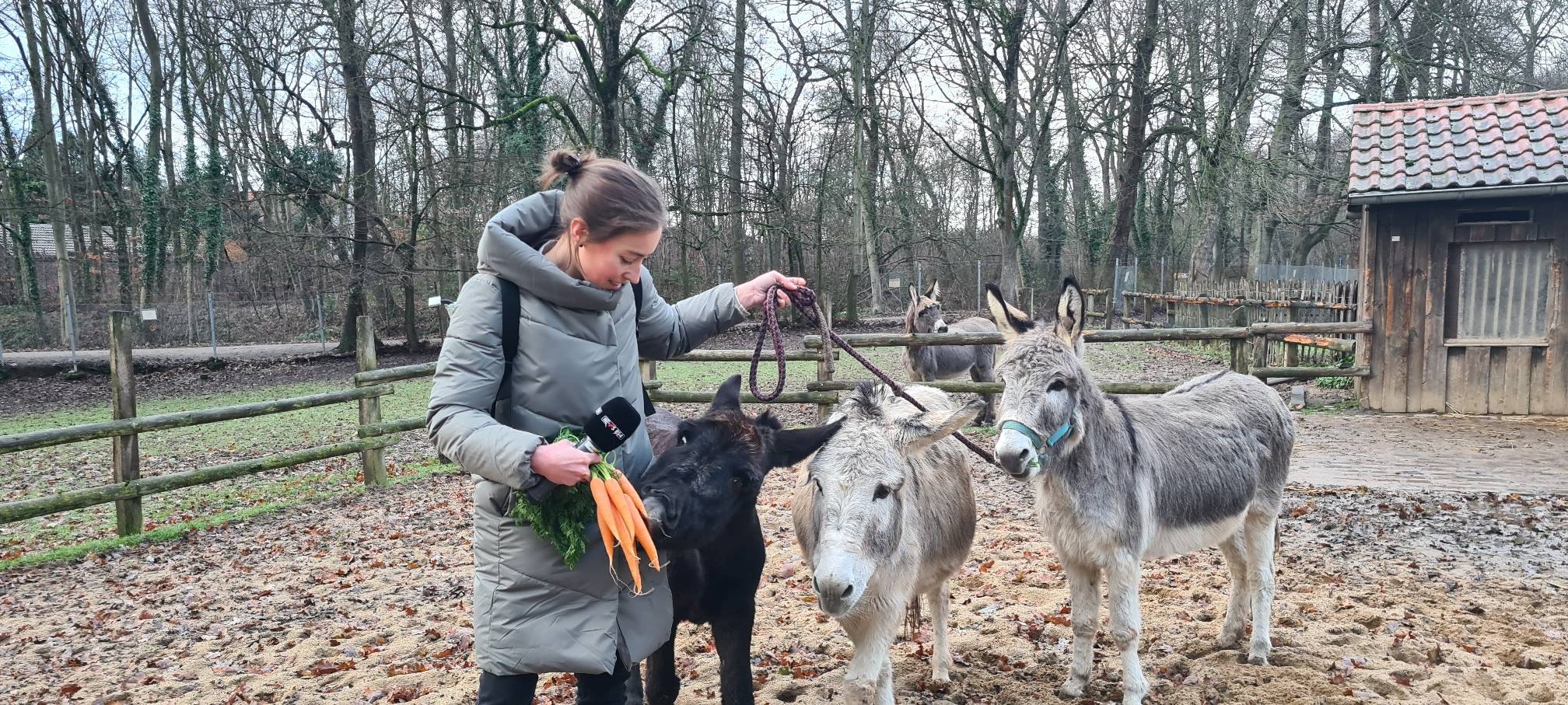 Nepomuk feiert seinen 4. Geburtstag