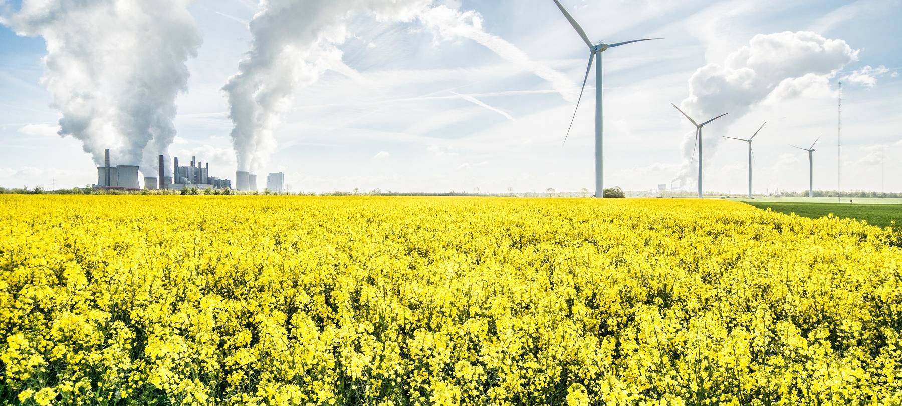 Rheinisches Revier attraktiv für Rechenzentren