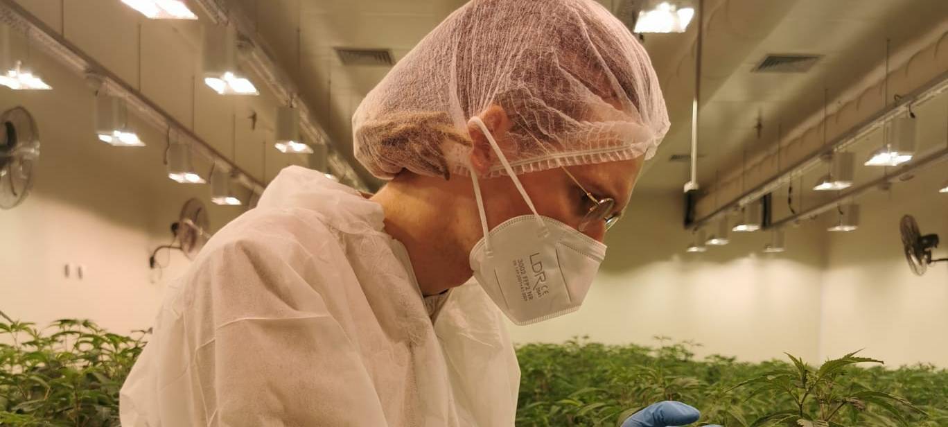 Cannabis-Sommelier in Meerbusch