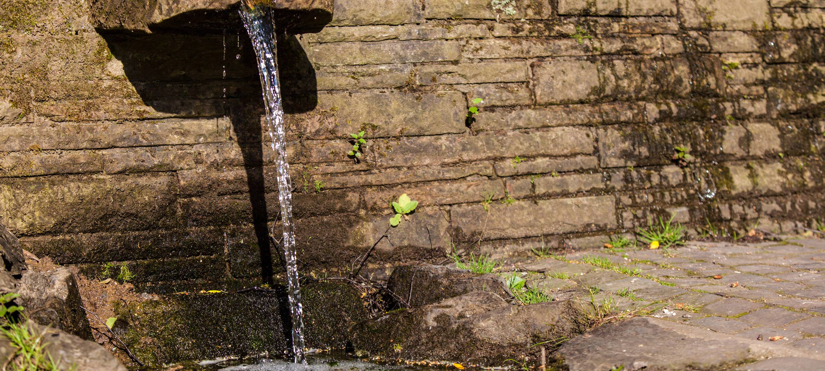 Mehr Wasserspender für das Kreisgebiet gefordert