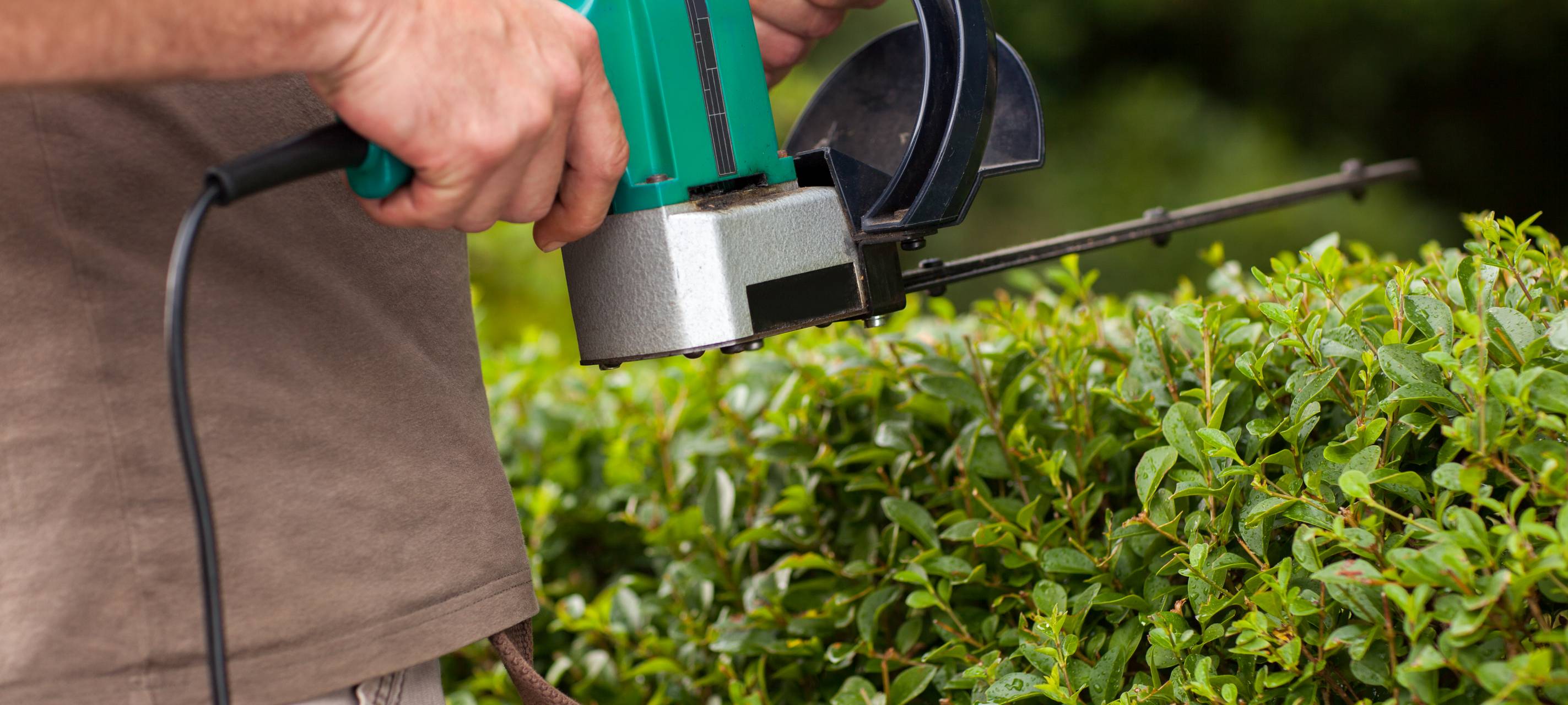 Versandhändler Gärtner Pötschke verkauft