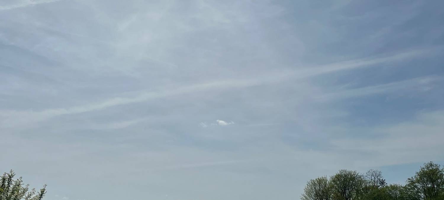 Tulpenfelder: Wird Grevenbroich-Kapellen wieder überlaufen?