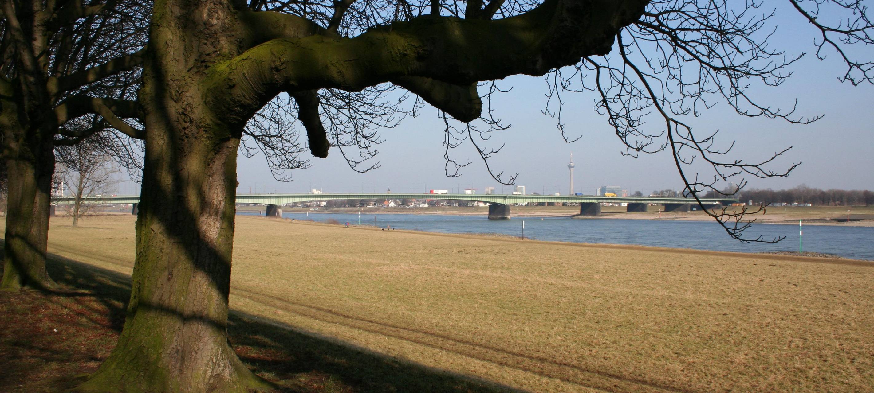 Bauarbeiten auf Josef-Kardinal-Frings-Brücke gehen weiter