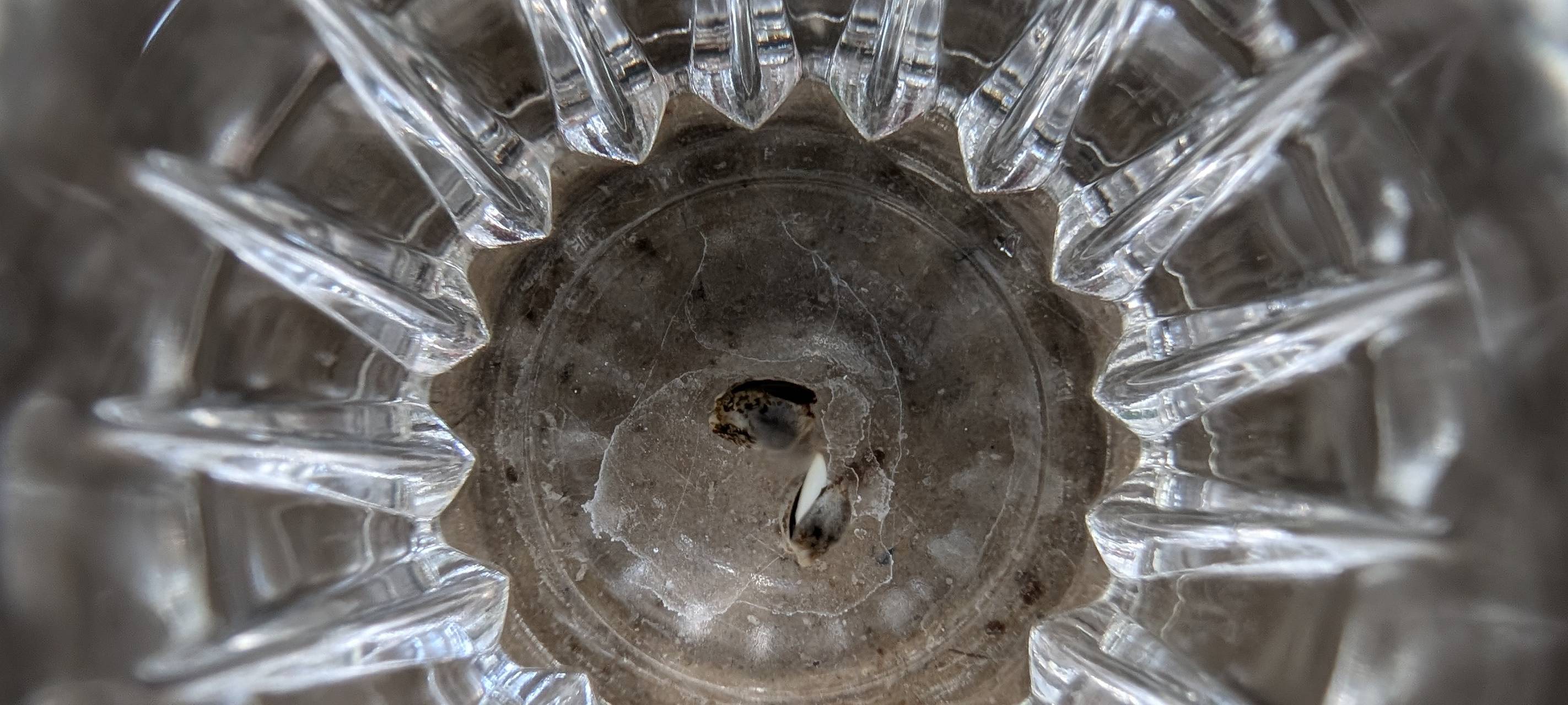 Judiths Bubatz-Bericht