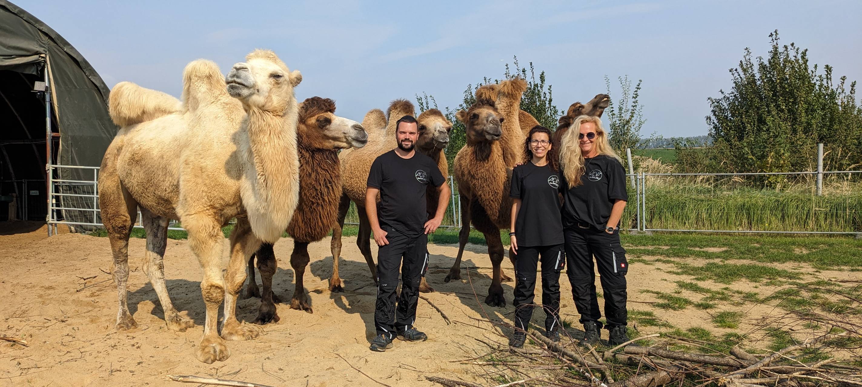 Kamel-Landwirt in Jüchen
