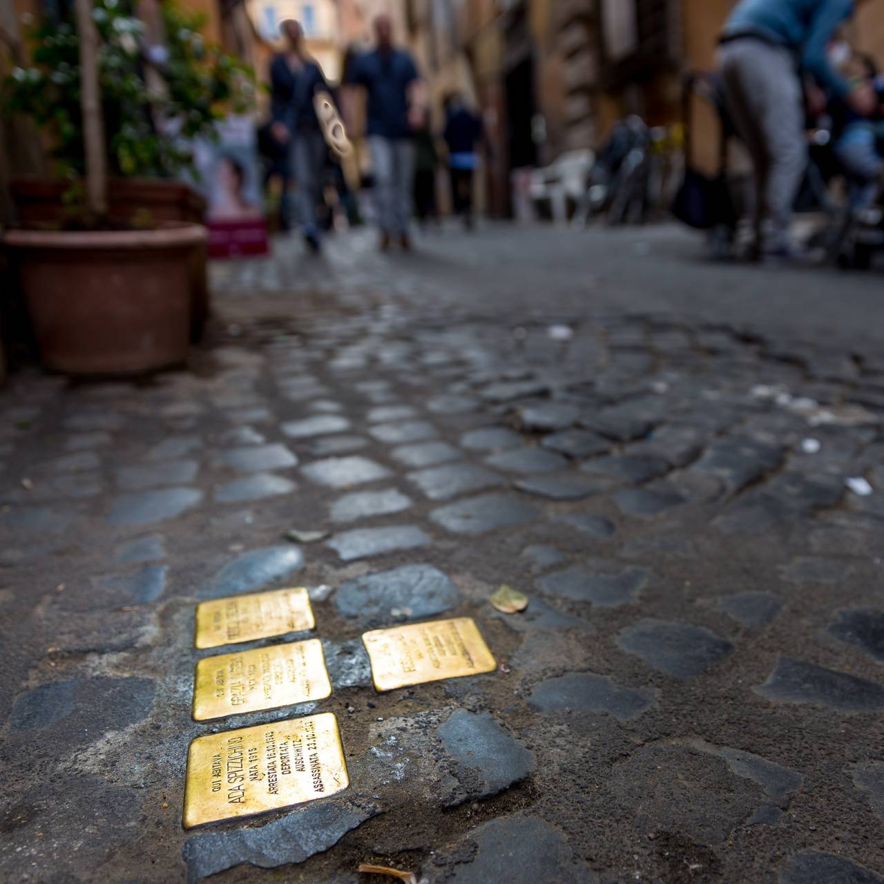 Gedenk-Stolpersteine auf einer Straße