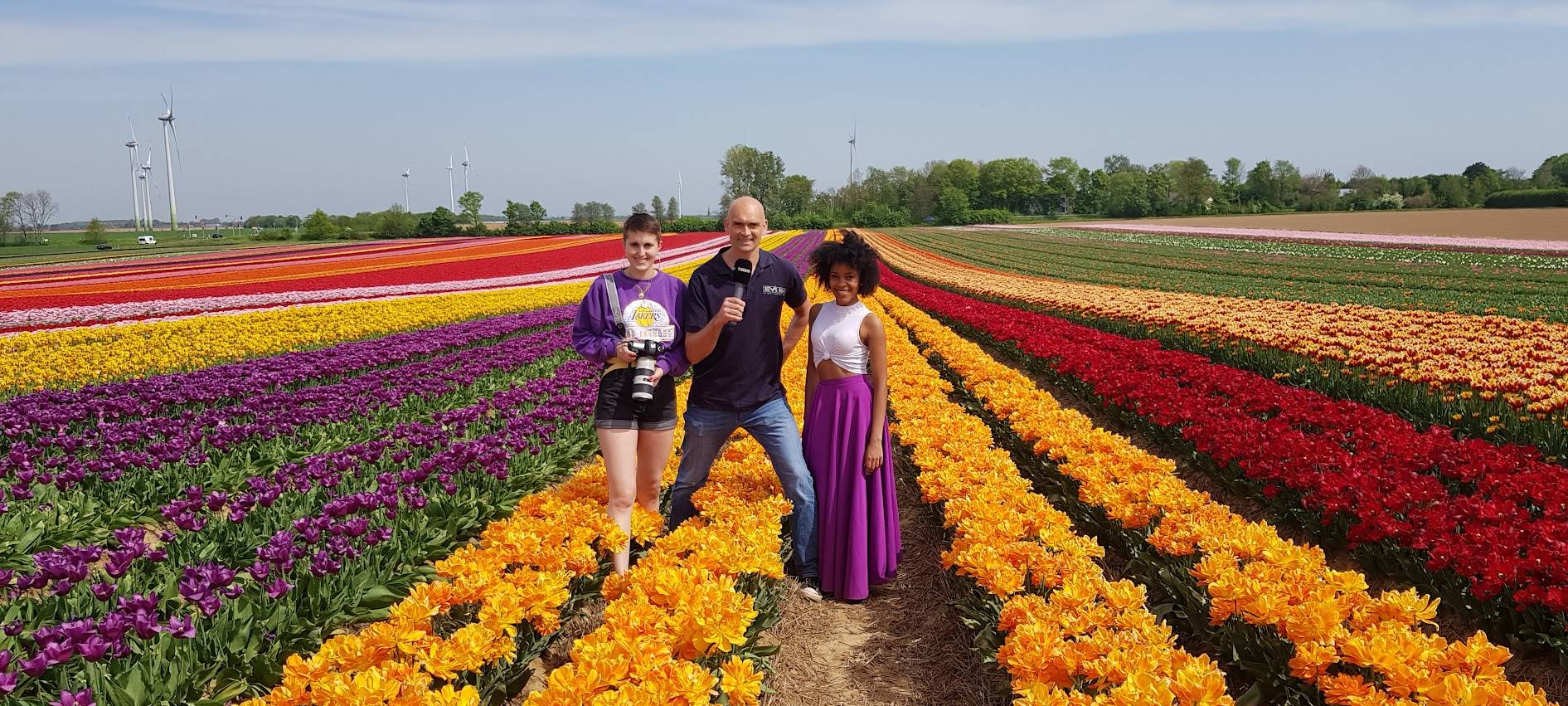 Tulpenfelder: Wird Grevenbroich-Kapellen wieder überlaufen?