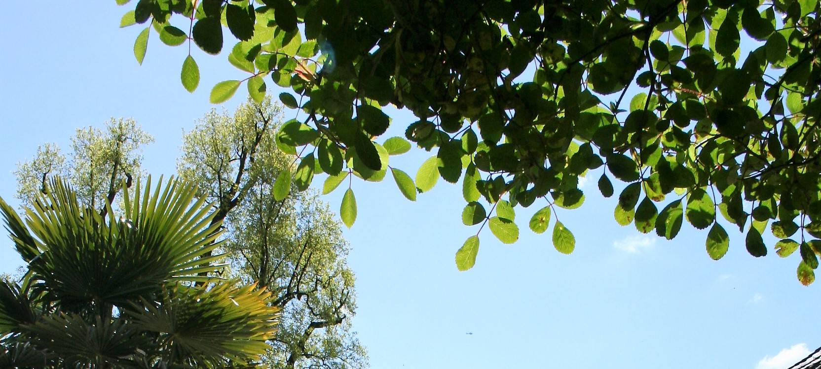 Schloss Dyck in Jüchen